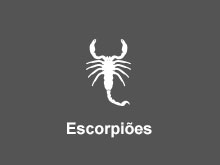 Escorpiões